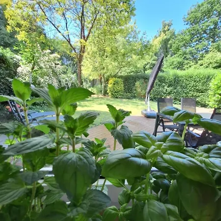 Roomina Werlte